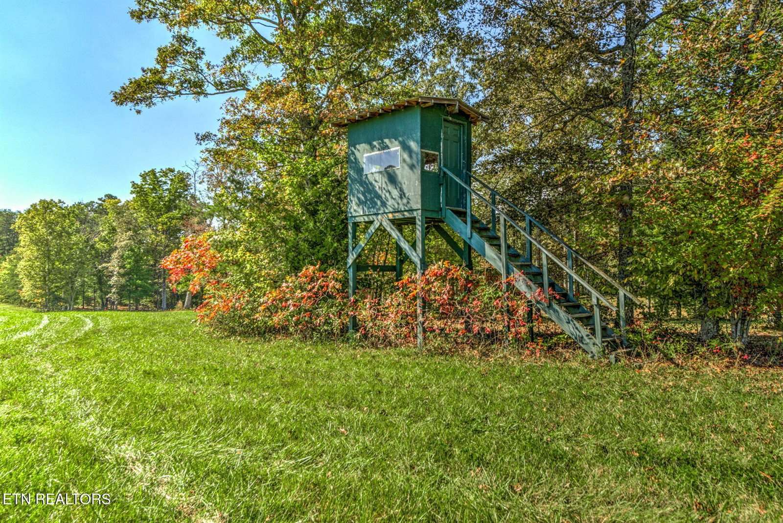 1423 Meister Hills Rd Rd, Deer Lodge, TN 37726