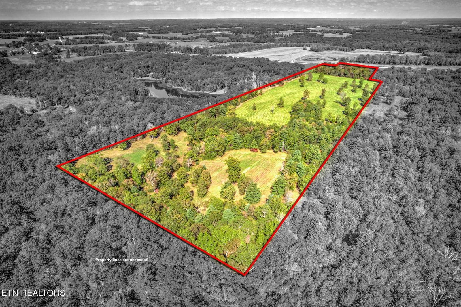 1423 Meister Hills Rd Rd, Deer Lodge, TN 37726