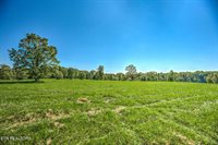 1423 Meister Hills Rd Rd, Deer Lodge, TN 37726