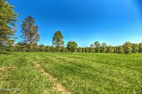 1423 Meister Hills Rd Rd, Deer Lodge, TN 37726