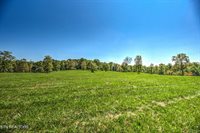 1423 Meister Hills Rd Rd, Deer Lodge, TN 37726