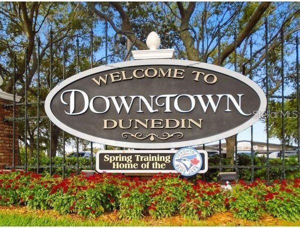 242 Sky Loch Drive East, Dunedin, FL 34698