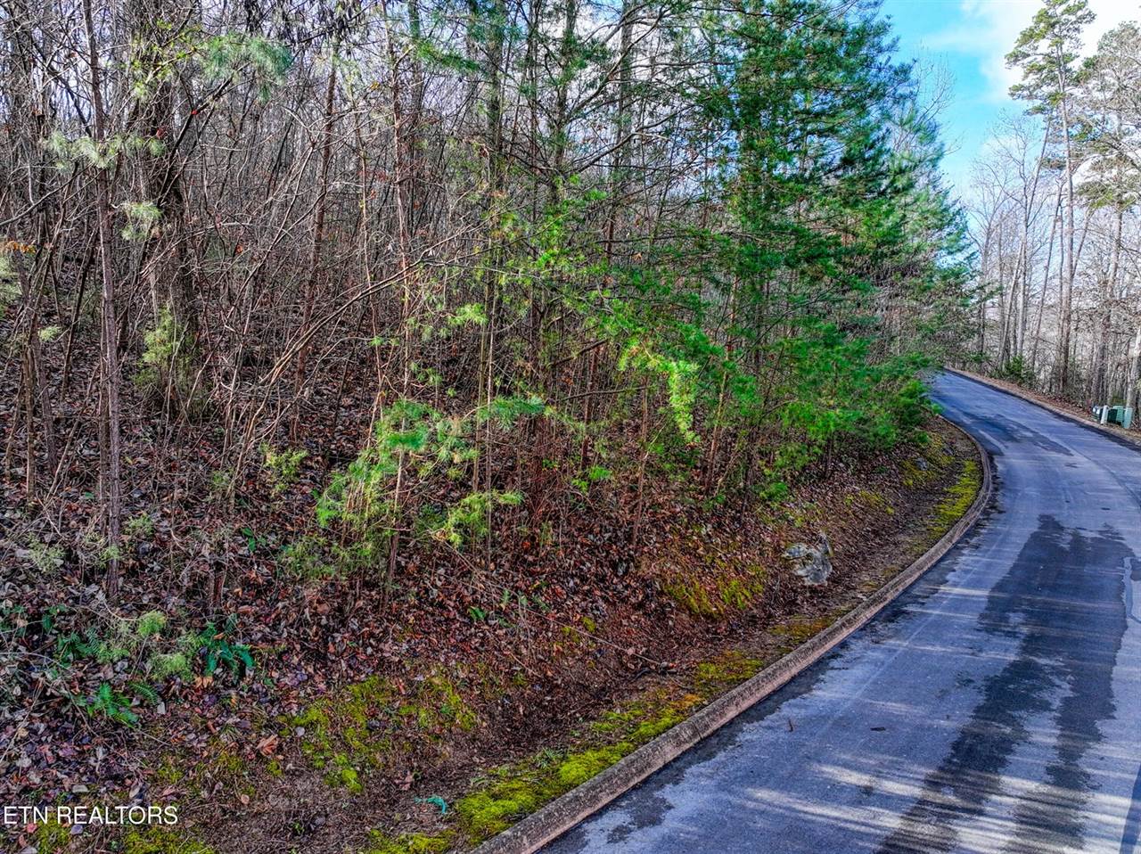 Lot 77 Shiloh Springs Rd, Rutledge, TN 37861