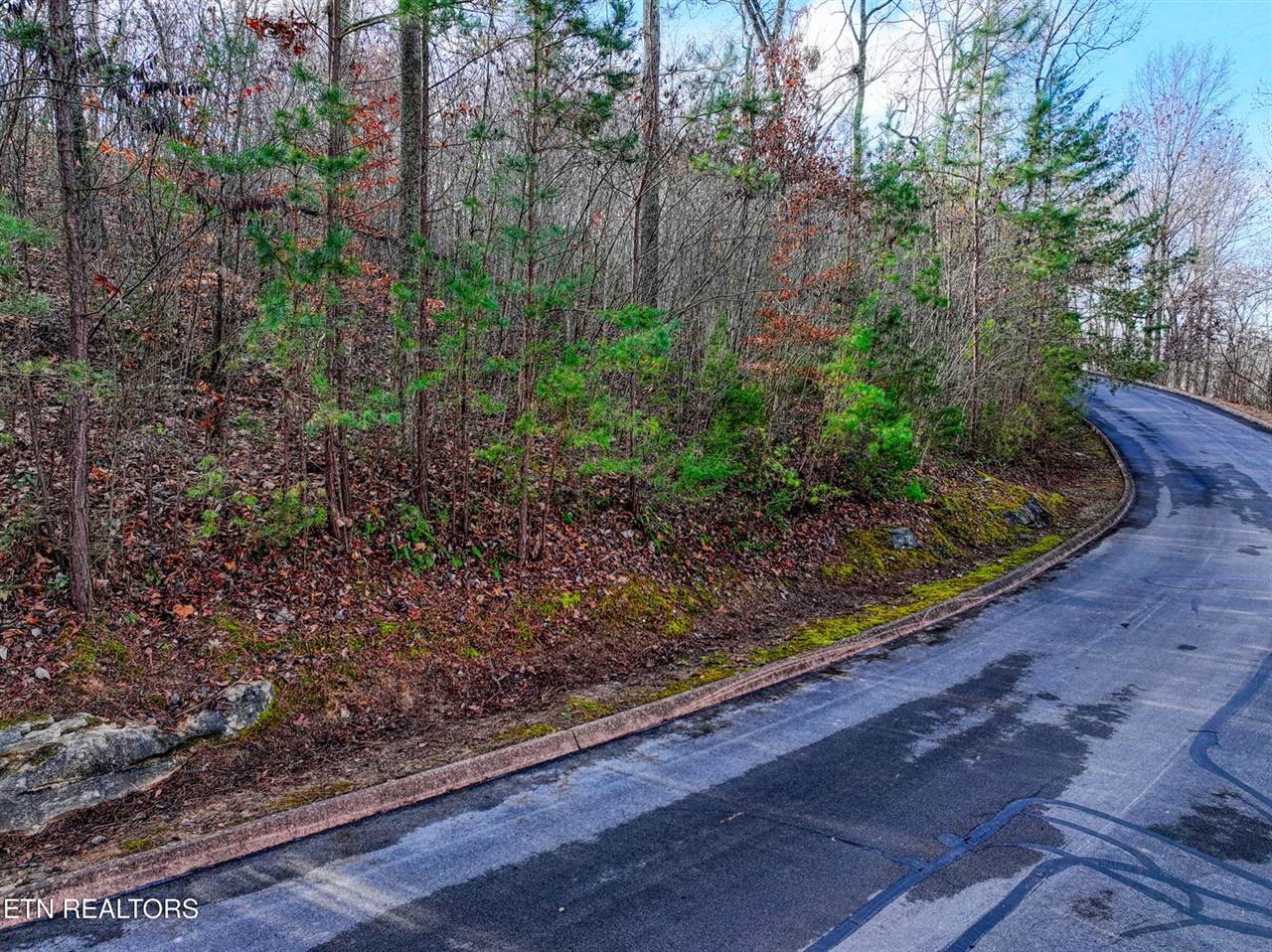 Lot 77 Shiloh Springs Rd, Rutledge, TN 37861