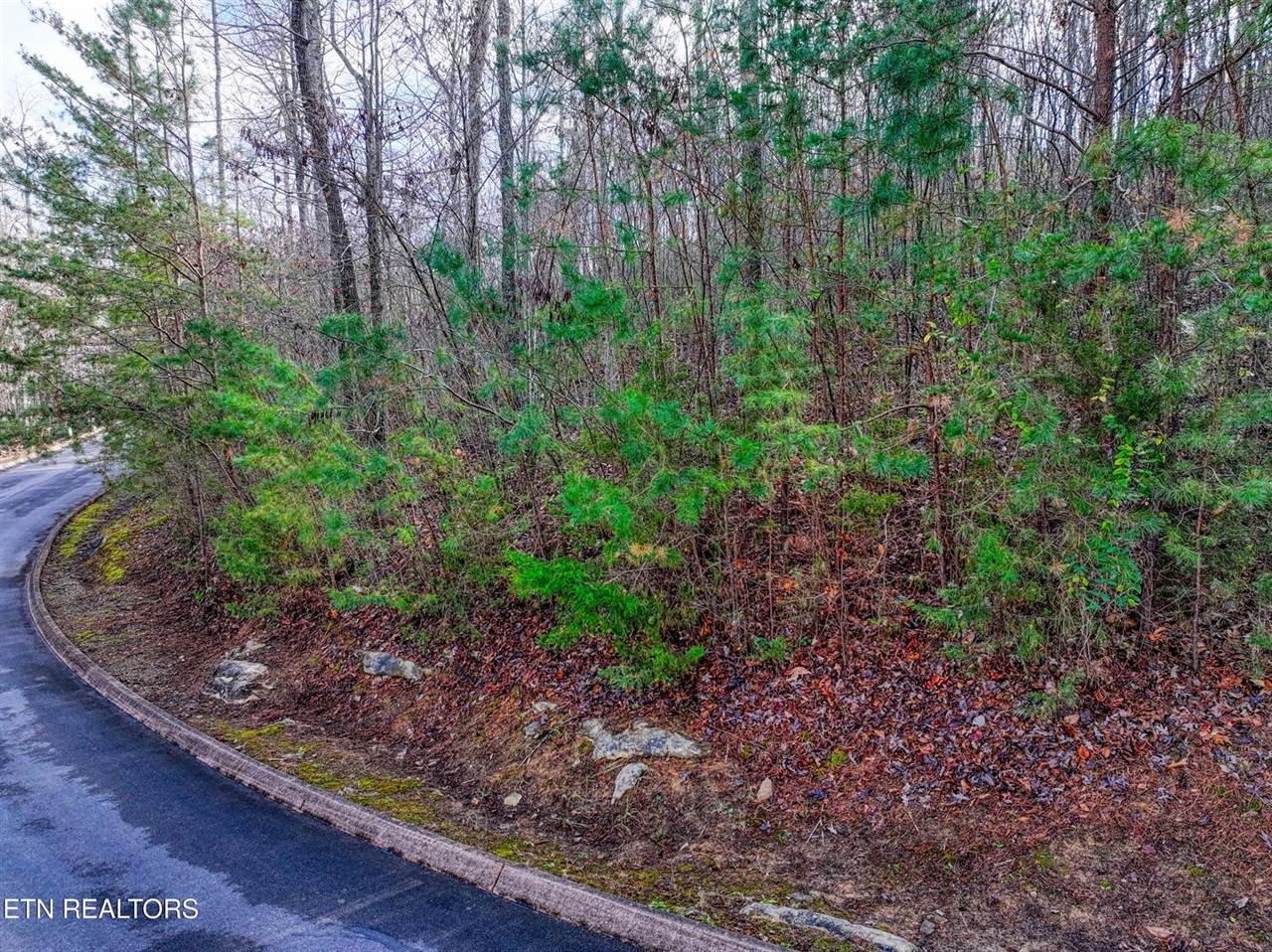 Lot 77 Shiloh Springs Rd, Rutledge, TN 37861