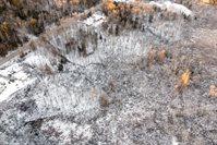 TBD North Road, Newburgh, ME 04444