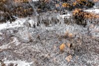 TBD North Road, Newburgh, ME 04444