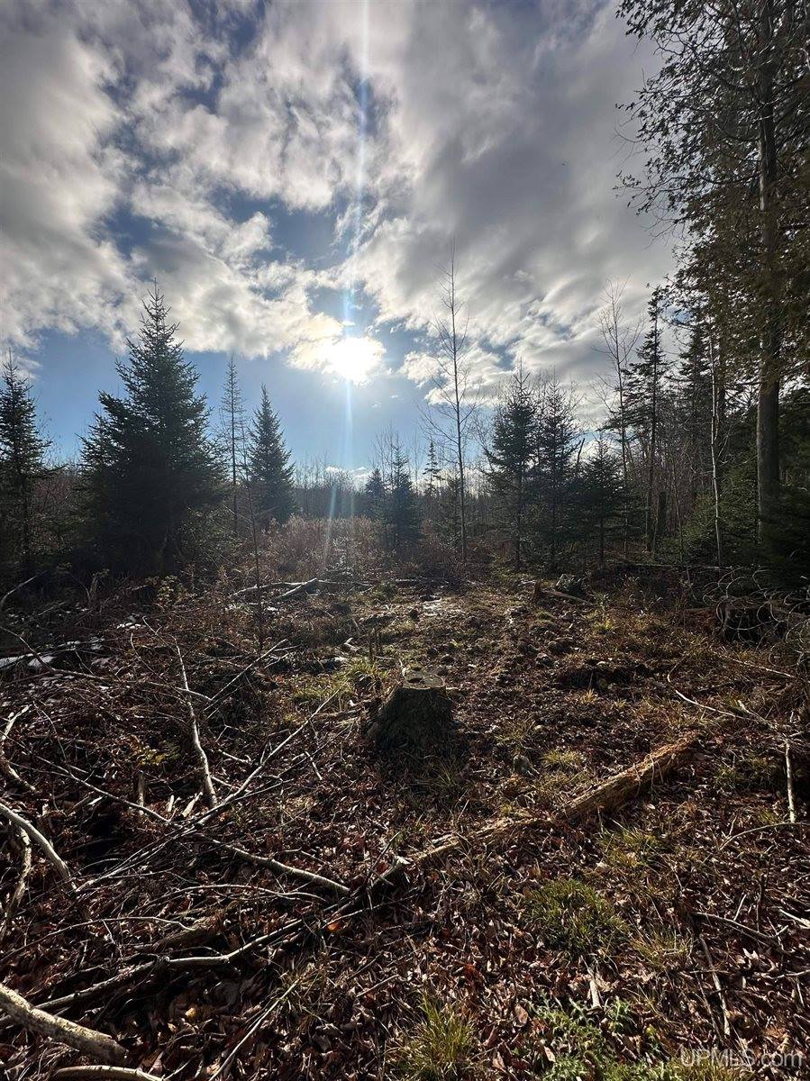 16947 US-2 Highway, Cooks, MI 49817