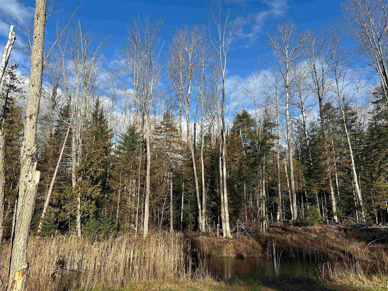 16947 US-2 Highway, Cooks, MI 49817