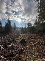 16947 US-2 Highway, Cooks, MI 49817