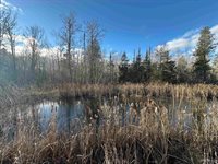 16947 US-2 Highway, Cooks, MI 49817