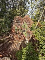 16947 US-2 Highway, Cooks, MI 49817