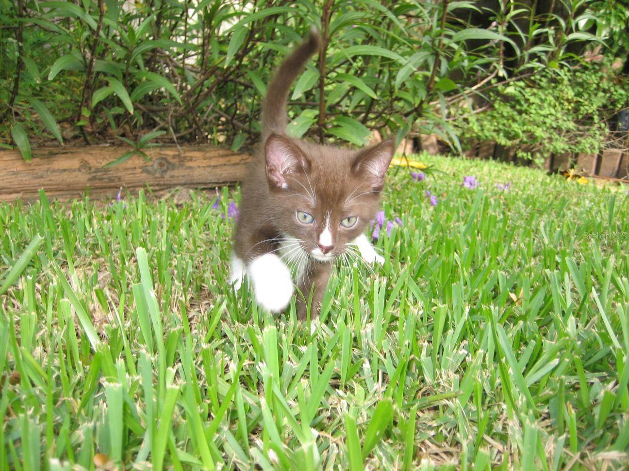 5980 Shore Boulevard South, #111, Gulfport, FL 33707