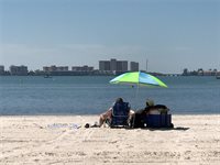 5980 Shore Boulevard South, Gulfport, FL 33707