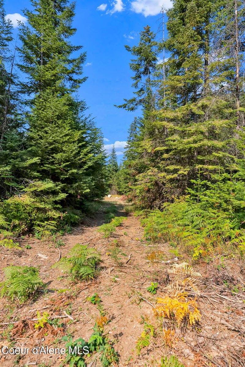 L13B1 Leonard Loop, Athol, ID 83801