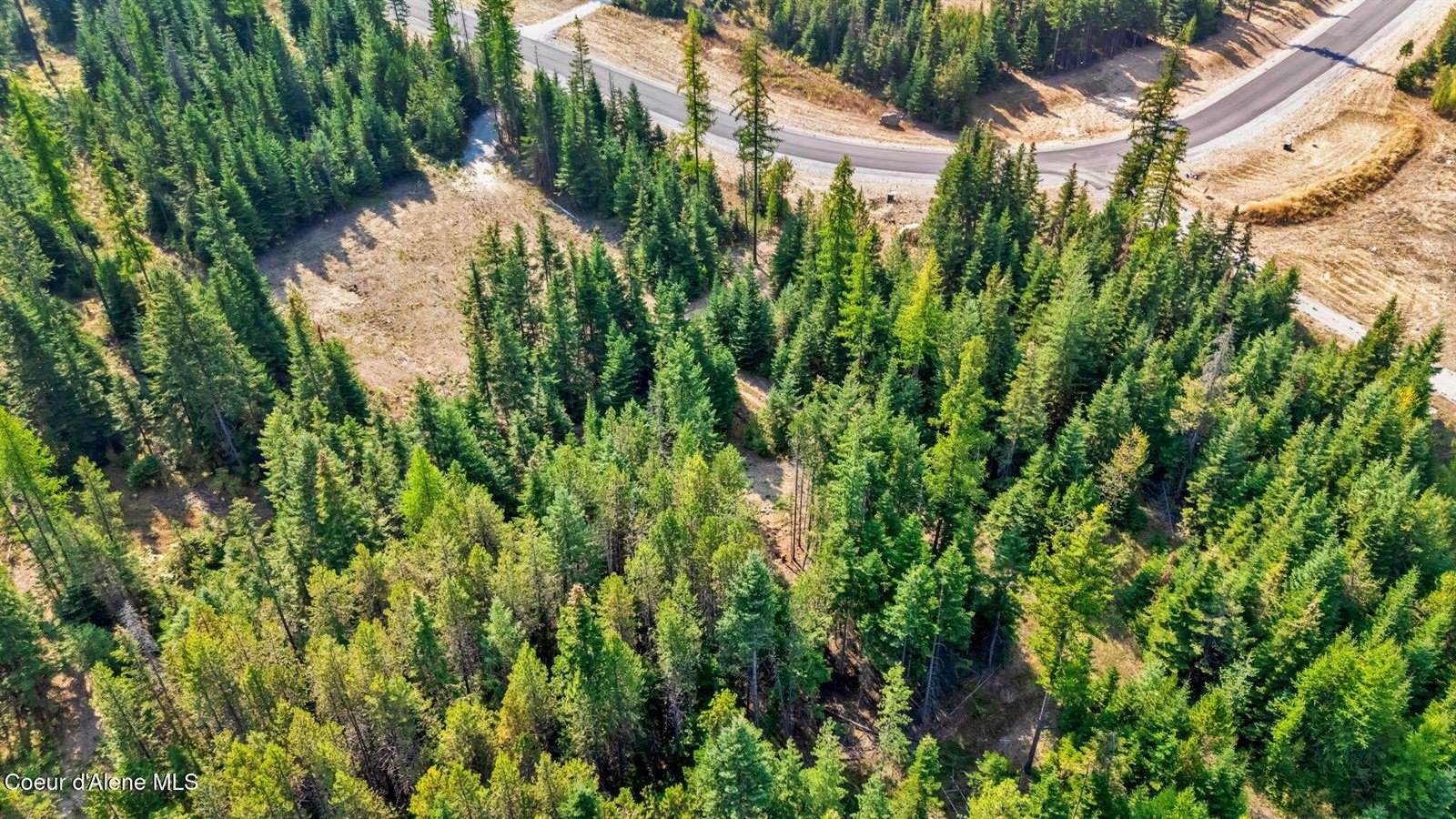 L13B1 Leonard Loop, Athol, ID 83801