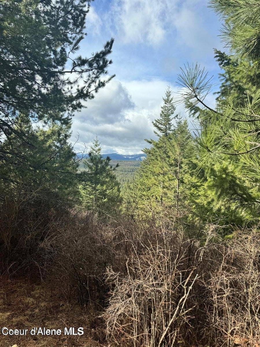 NNA Quiet Heights Rd., Athol, ID 83801