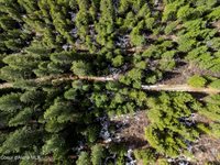 NNA Quiet Heights Rd., Athol, ID 83801