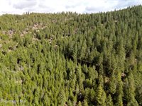 NNA Quiet Heights Rd., Athol, ID 83801