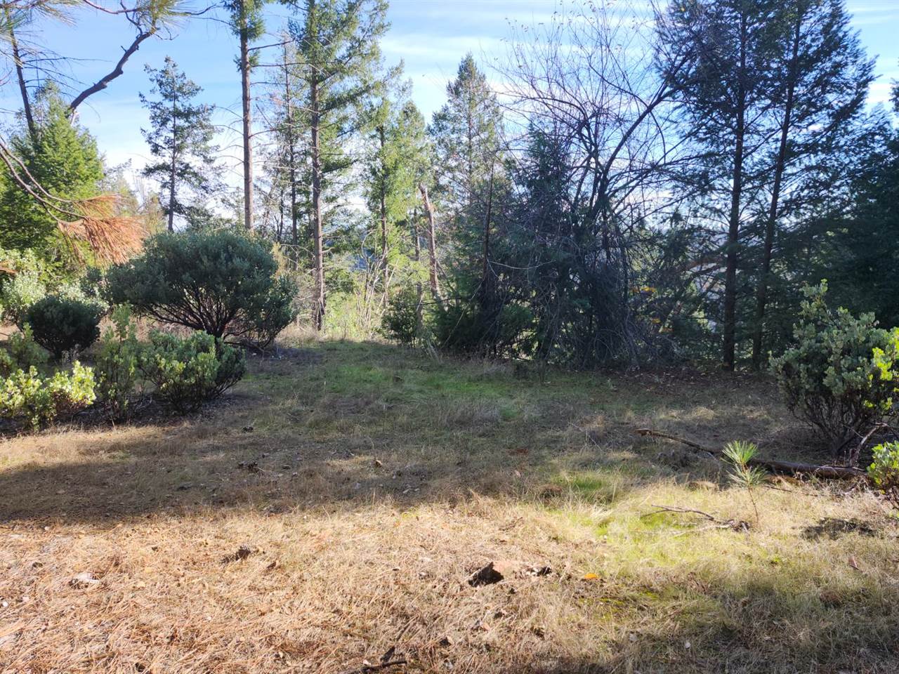 1196 Doe Road, Railroad Flat, CA 95248