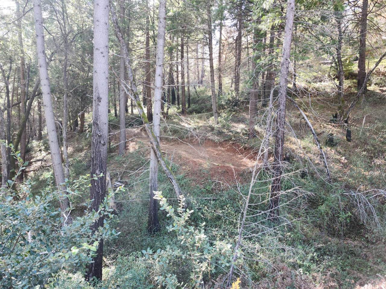 1196 Doe Road, Railroad Flat, CA 95248