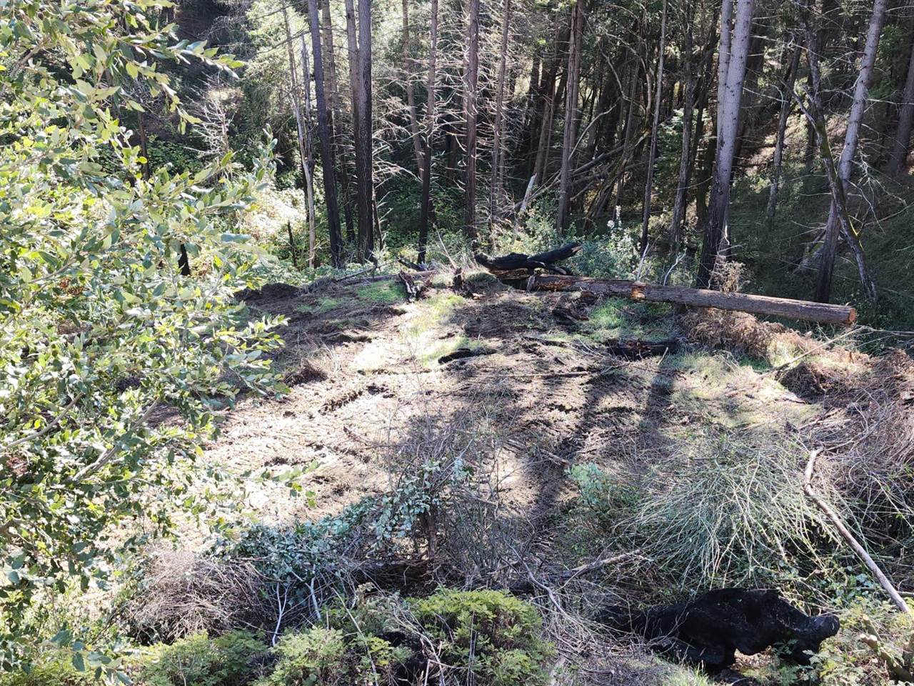 1196 Doe Road, Railroad Flat, CA 95248