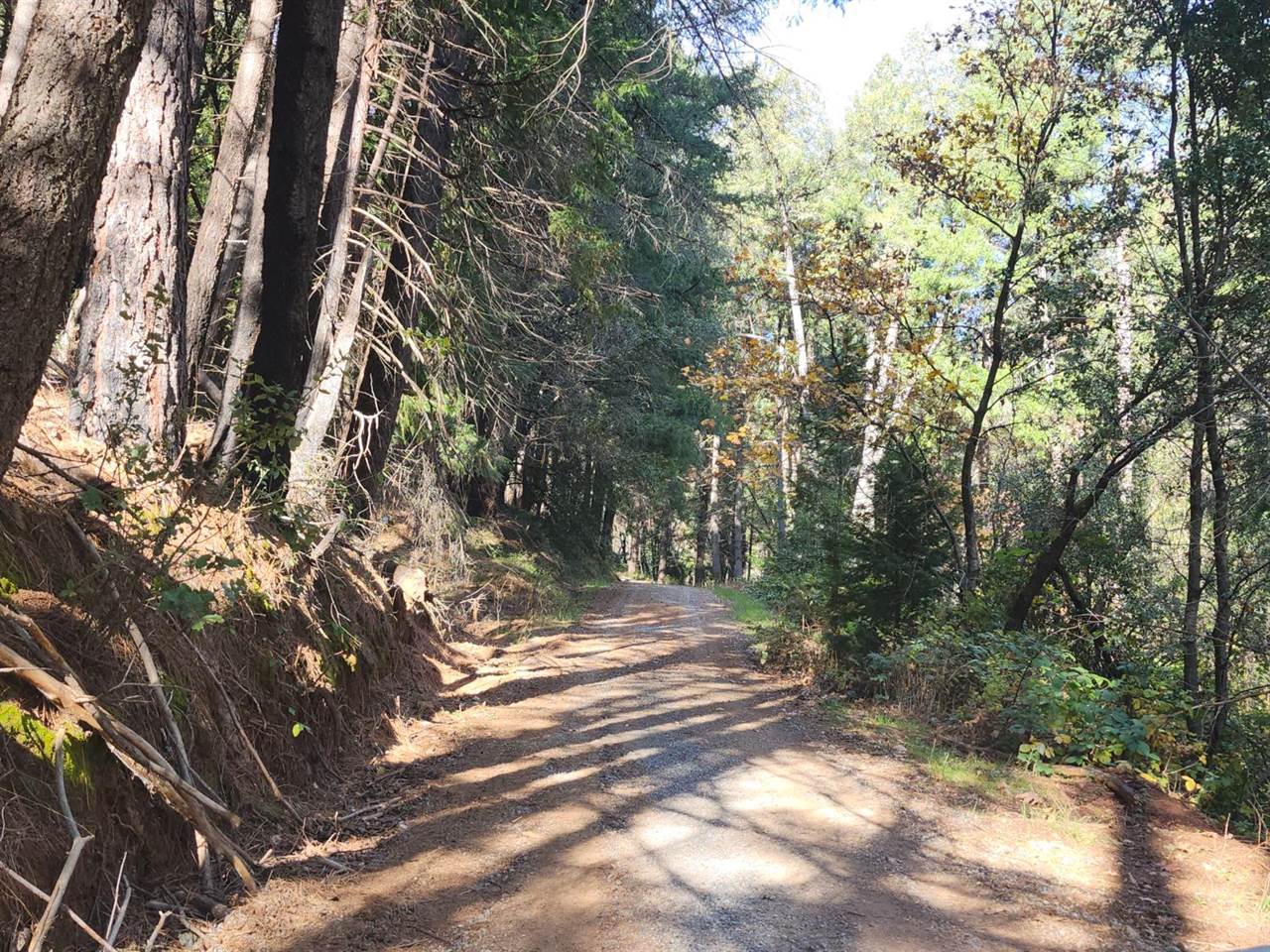 1196 Doe Road, Railroad Flat, CA 95248