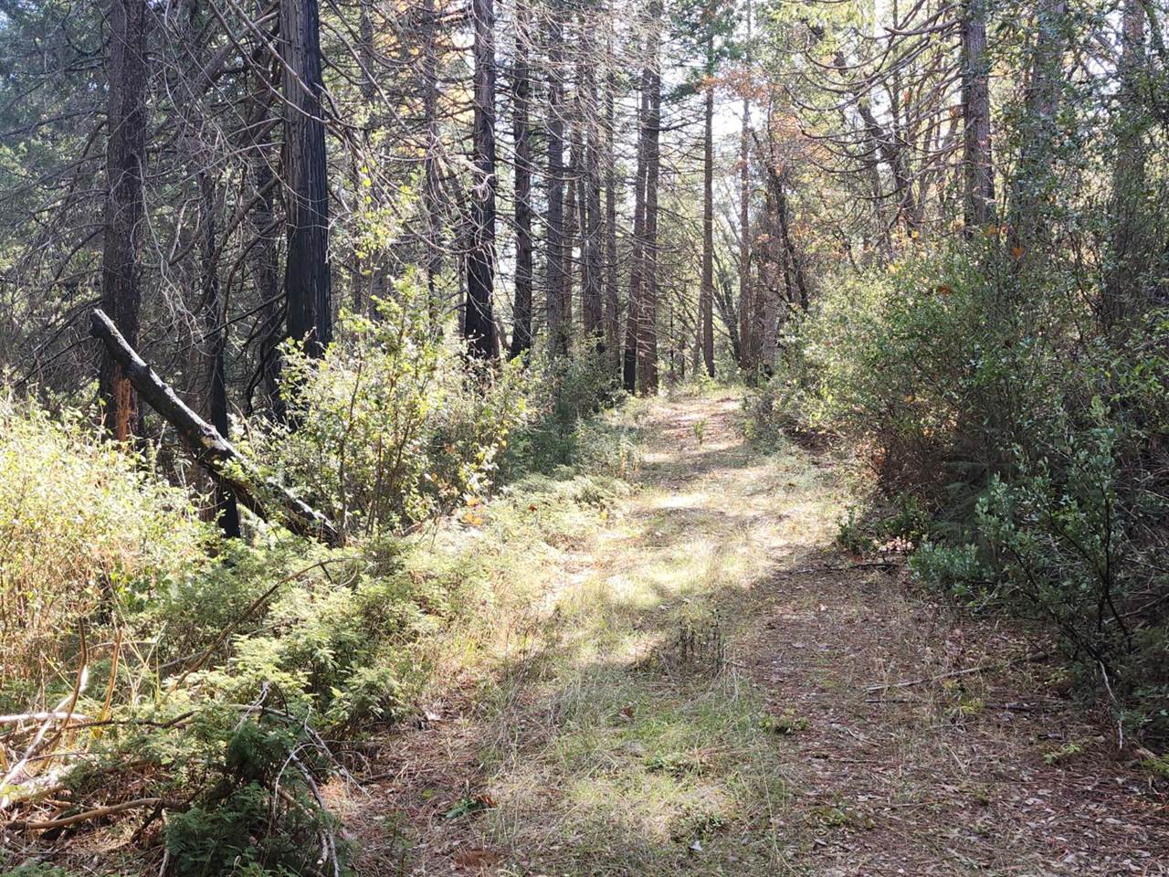 1196 Doe Road, Railroad Flat, CA 95248