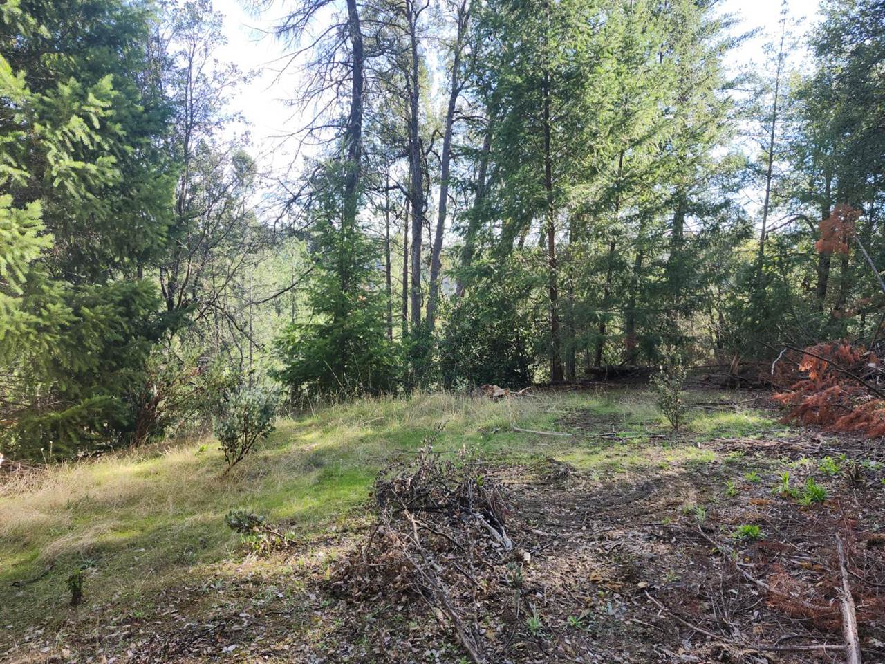 1196 Doe Road, Railroad Flat, CA 95248