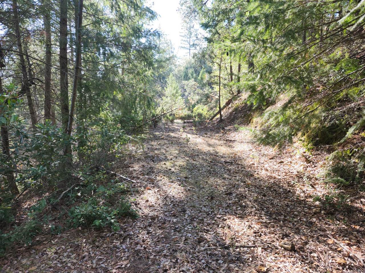 1196 Doe Road, Railroad Flat, CA 95248