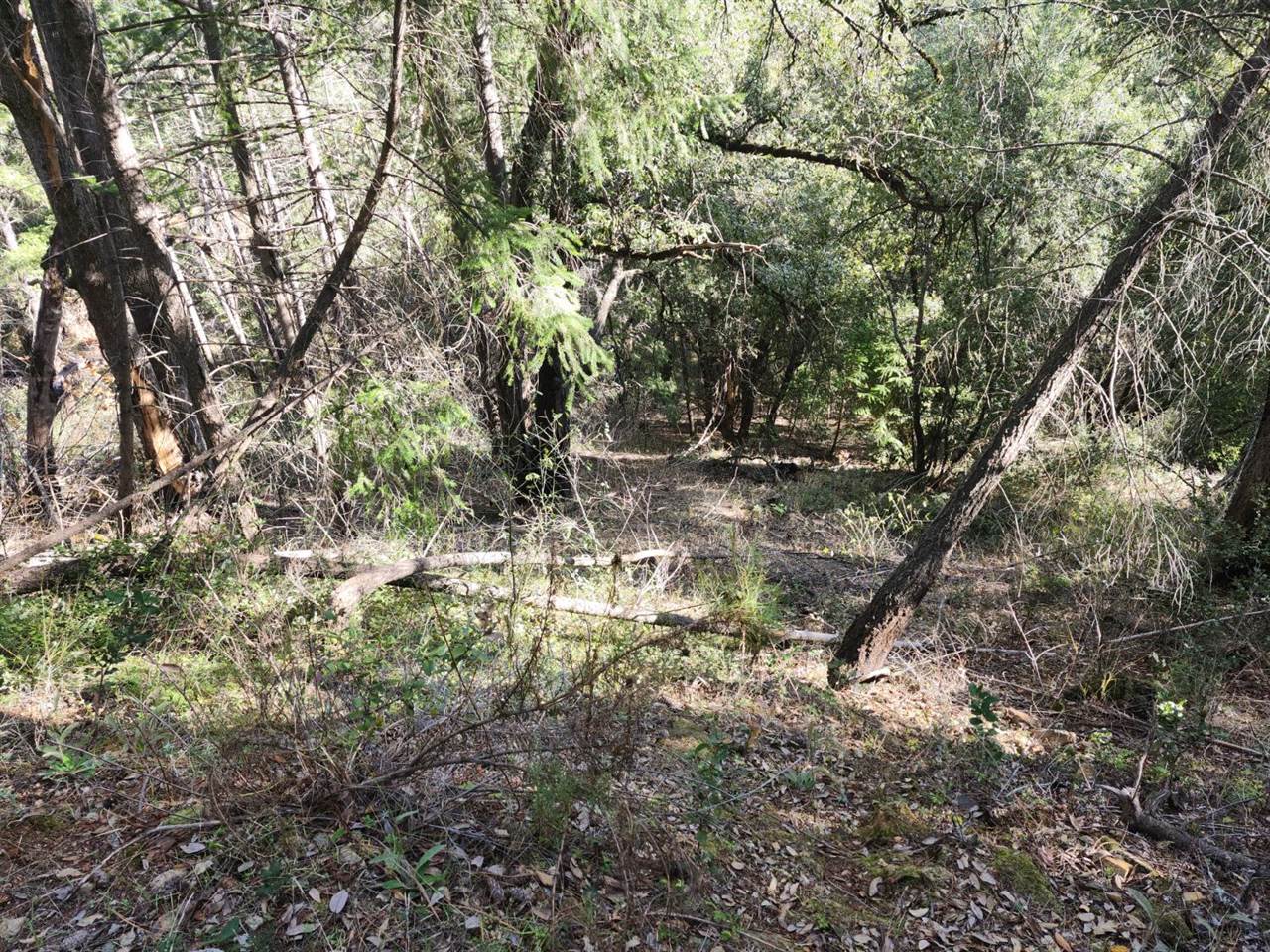 1196 Doe Road, Railroad Flat, CA 95248