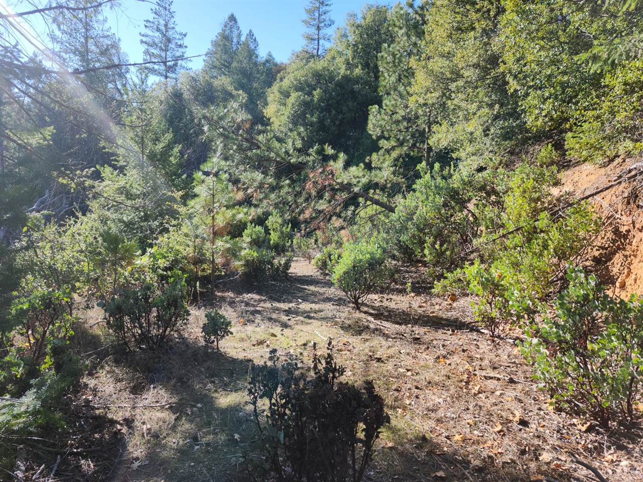 1196 Doe Road, Railroad Flat, CA 95248