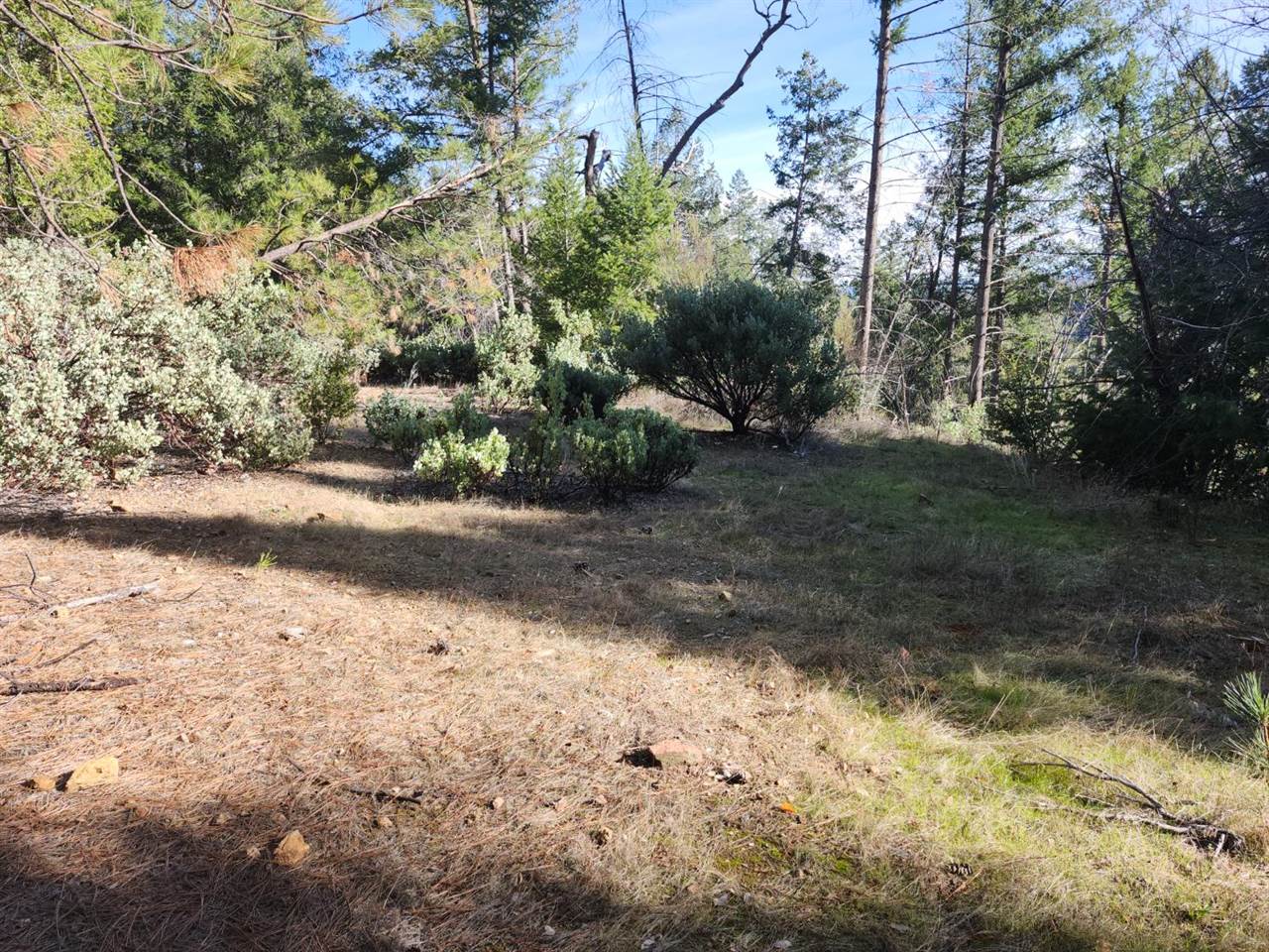 1196 Doe Road, Railroad Flat, CA 95248