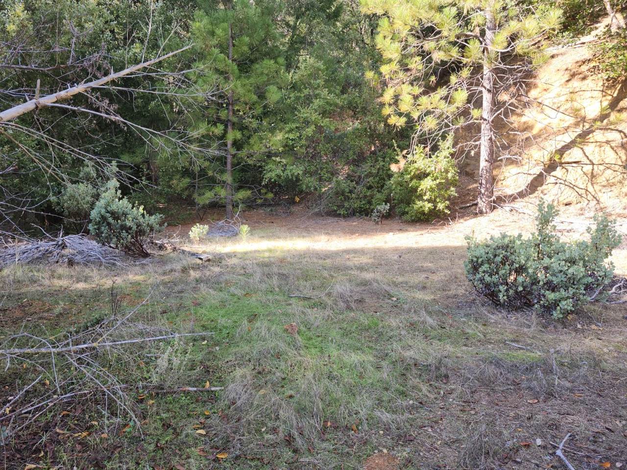 1196 Doe Road, Railroad Flat, CA 95248