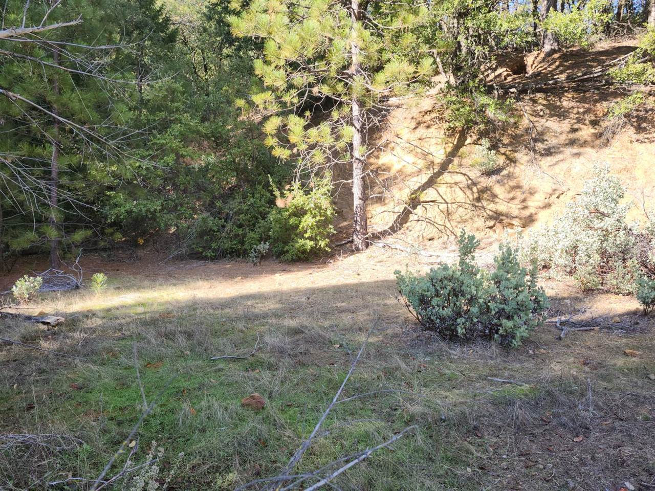 1196 Doe Road, Railroad Flat, CA 95248