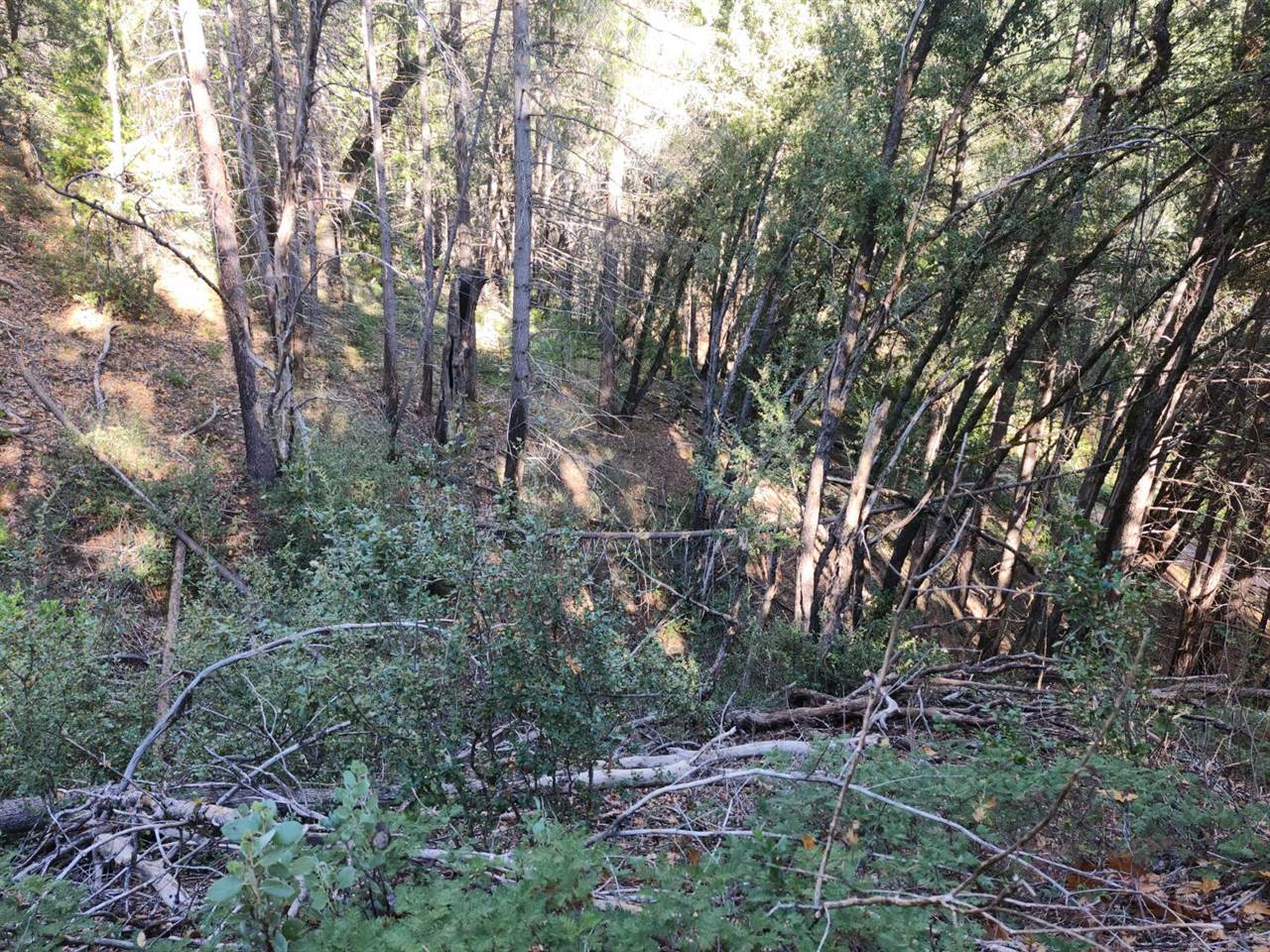 1196 Doe Road, Railroad Flat, CA 95248