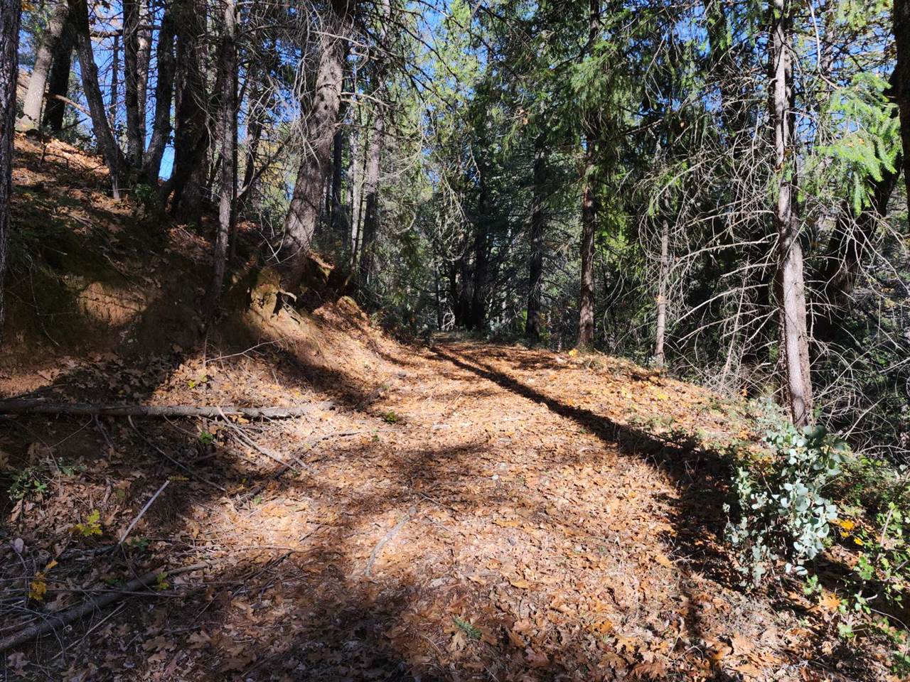 1196 Doe Road, Railroad Flat, CA 95248