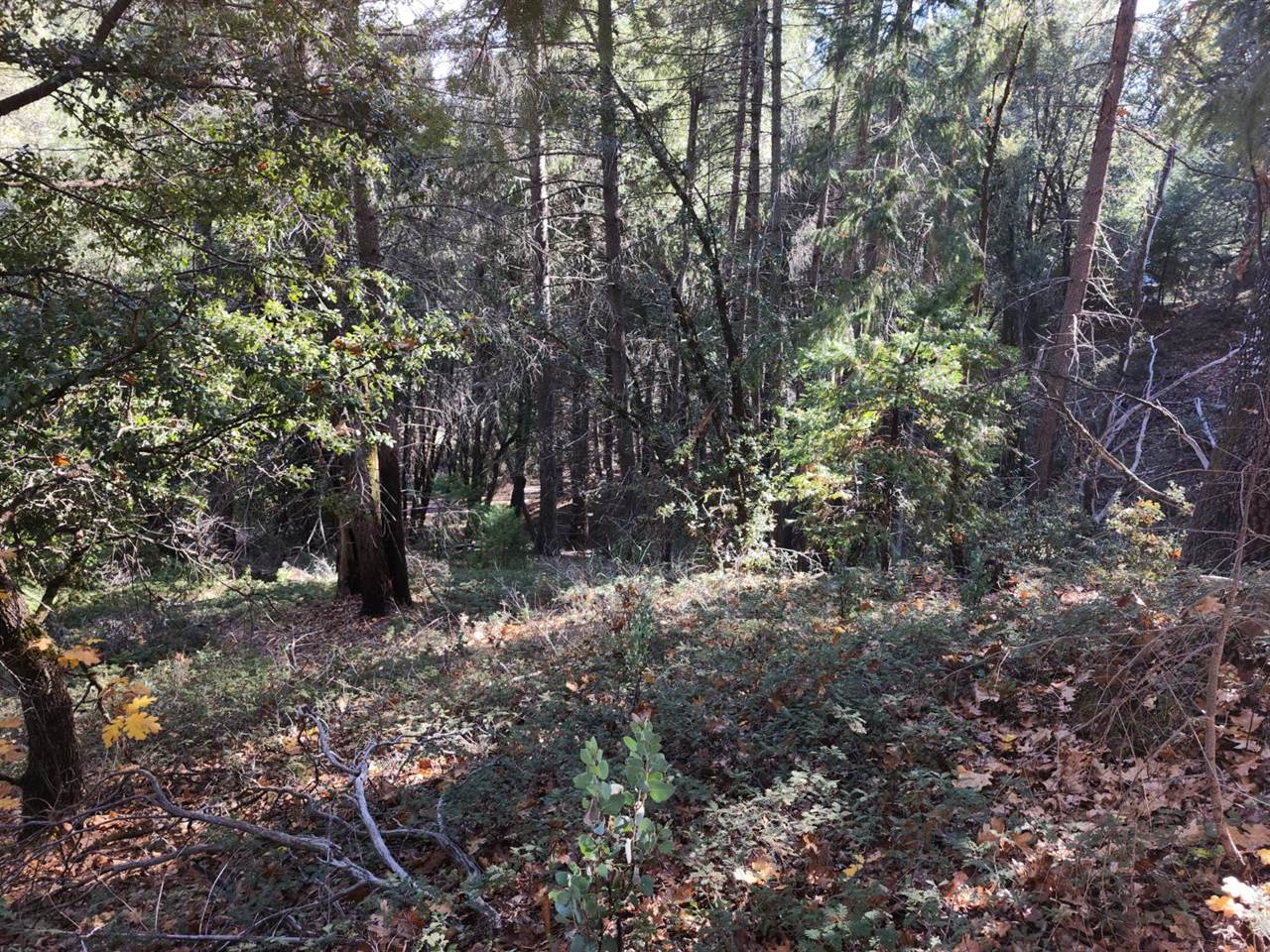 1196 Doe Road, Railroad Flat, CA 95248