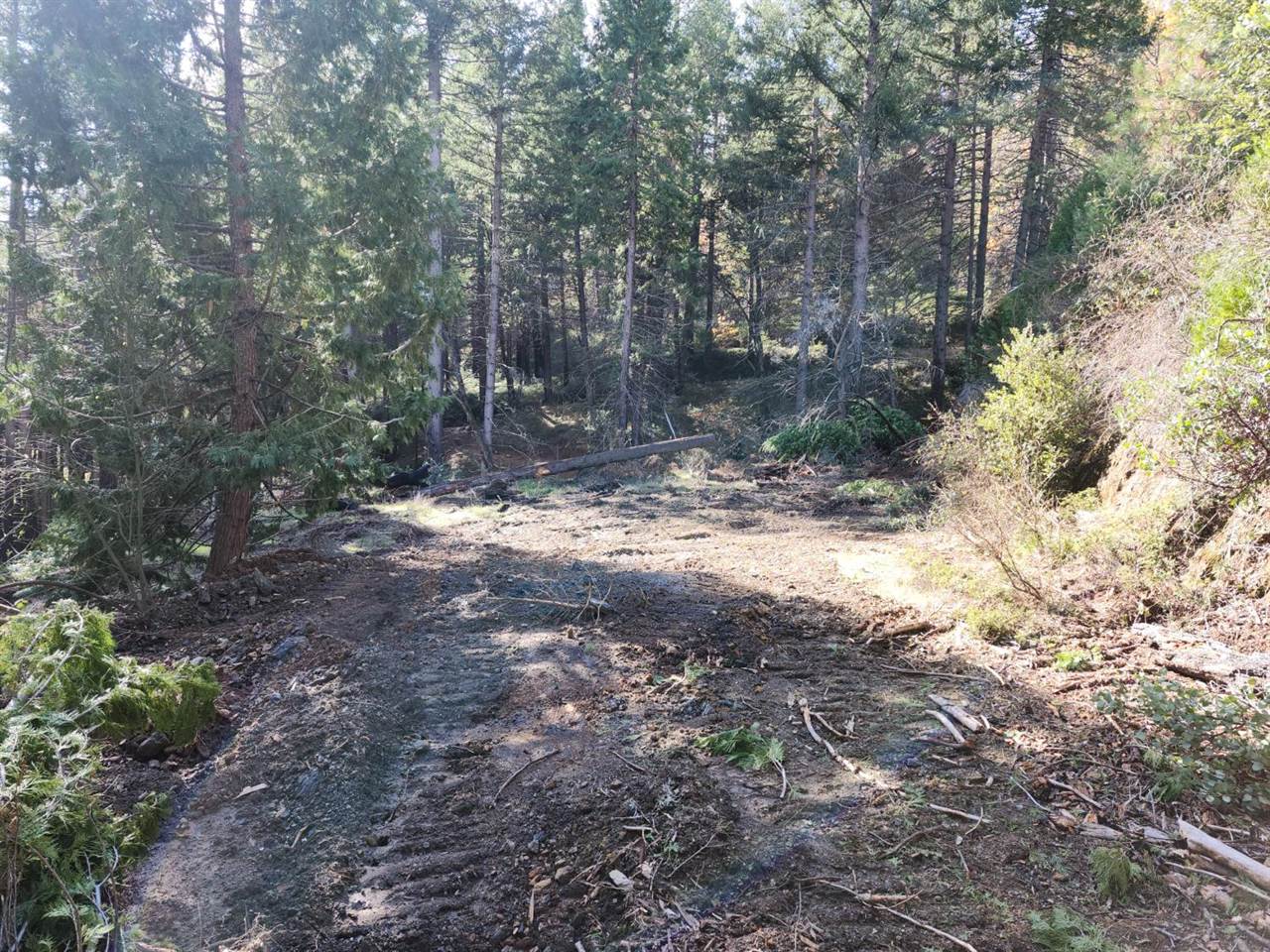 1196 Doe Road, Railroad Flat, CA 95248