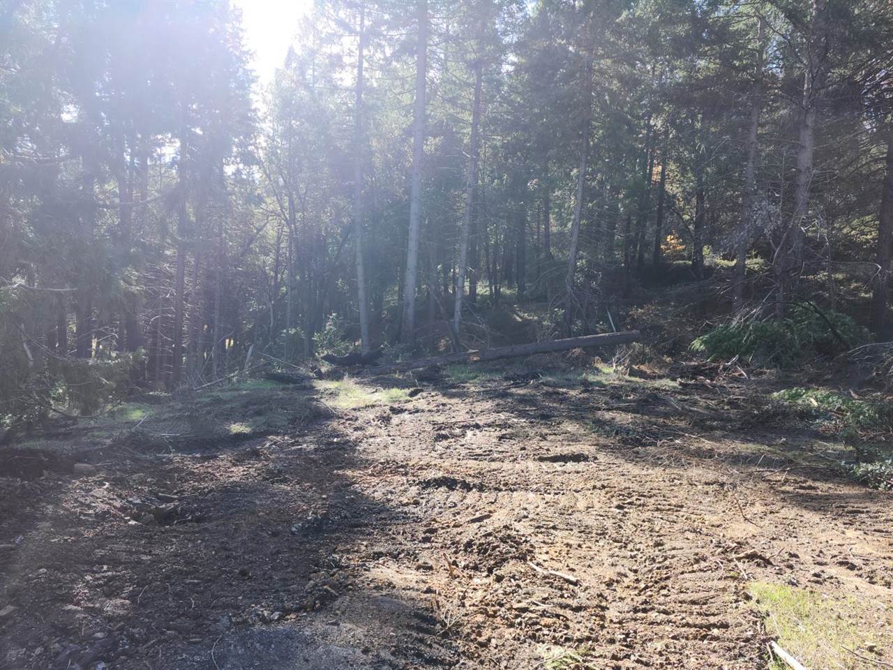 1196 Doe Road, Railroad Flat, CA 95248