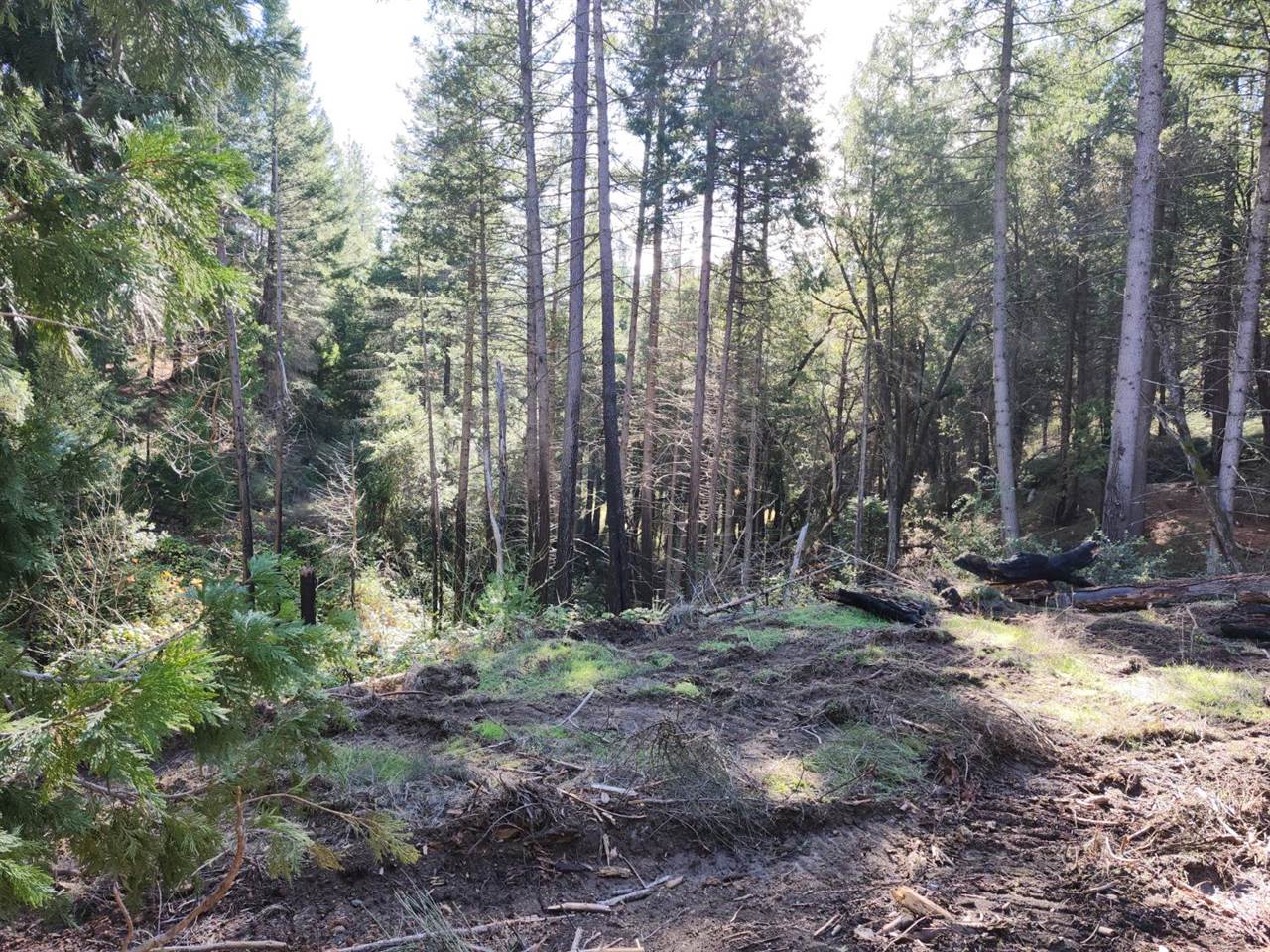 1196 Doe Road, Railroad Flat, CA 95248