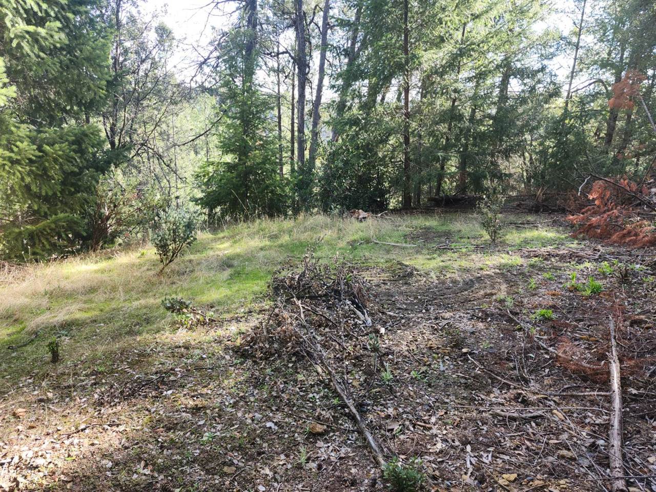 1196 Doe Road, Railroad Flat, CA 95248