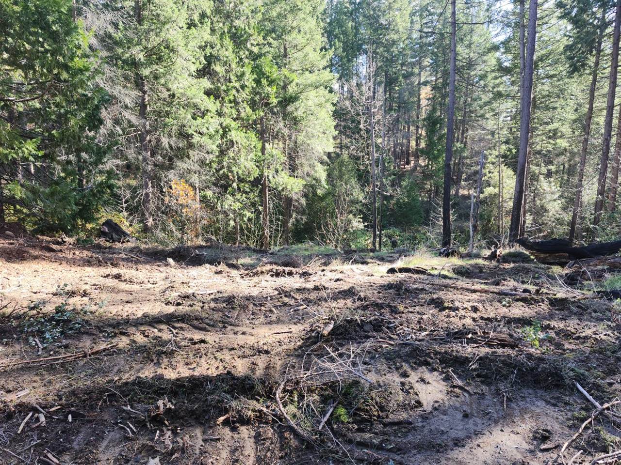 1196 Doe Road, Railroad Flat, CA 95248