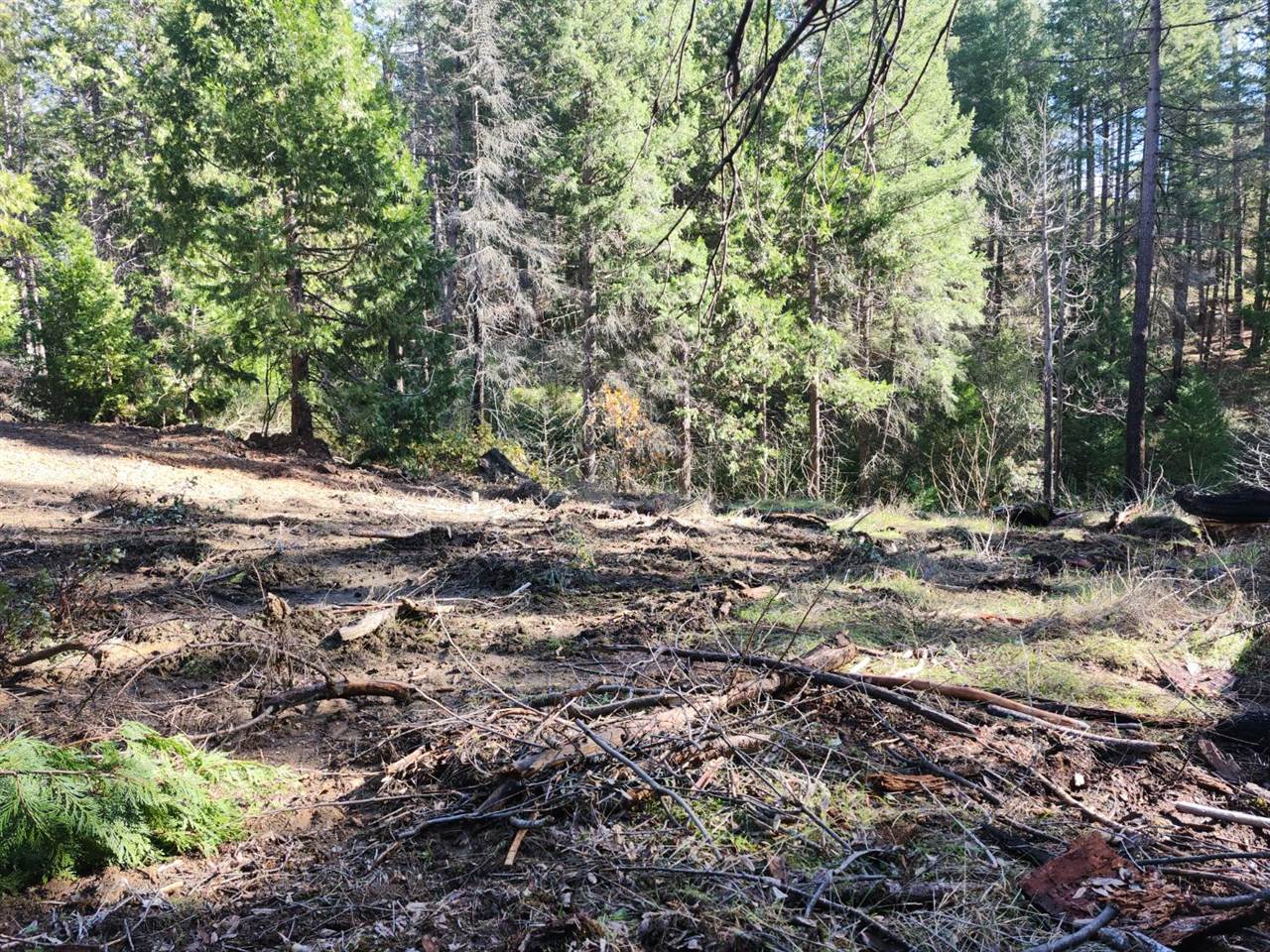 1196 Doe Road, Railroad Flat, CA 95248