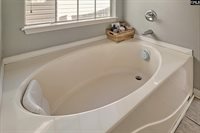 108 Merowey, Chapin, SC 29036