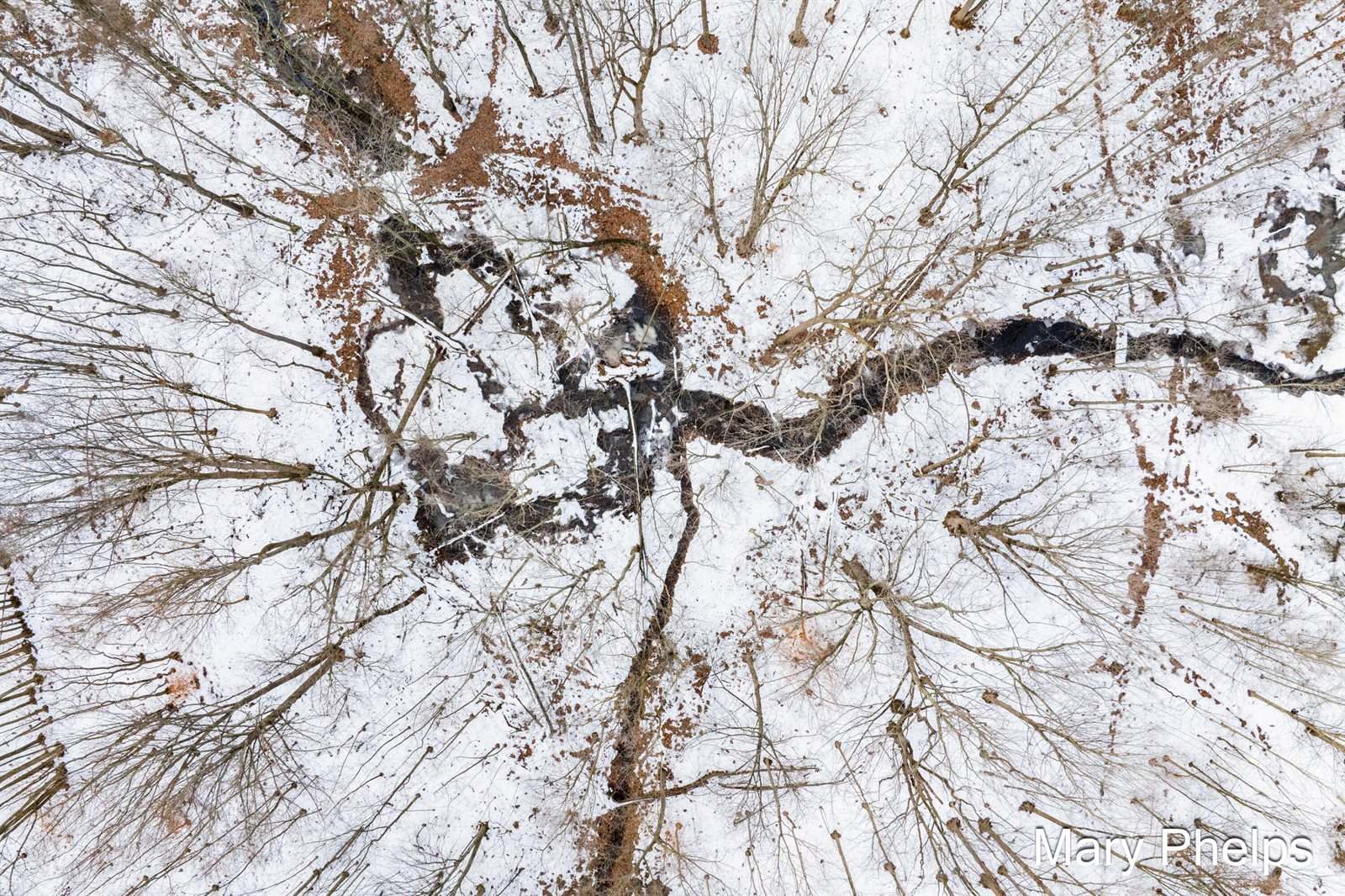 238 41st Street, Allegan, MI 49010