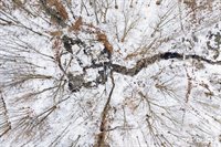 238 41st Street, Allegan, MI 49010