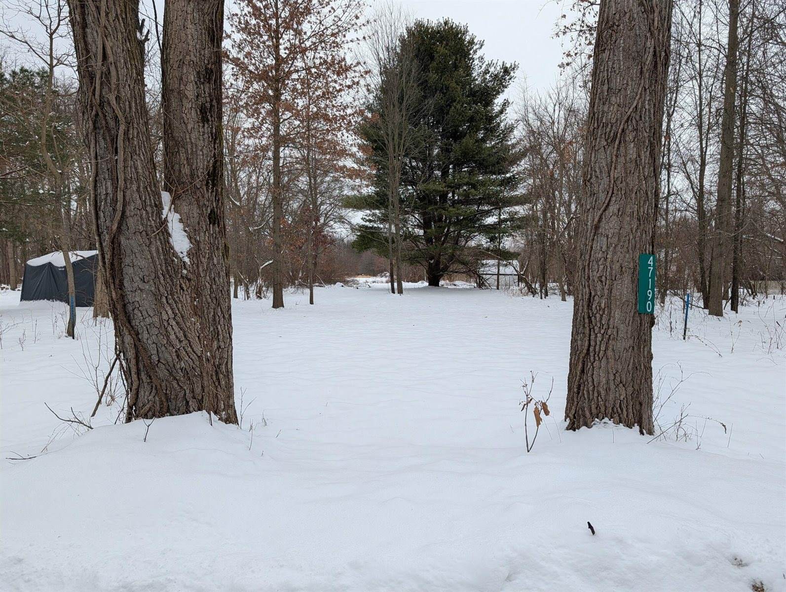 47190 Flagler Road, Bloomingdale, MI 49026