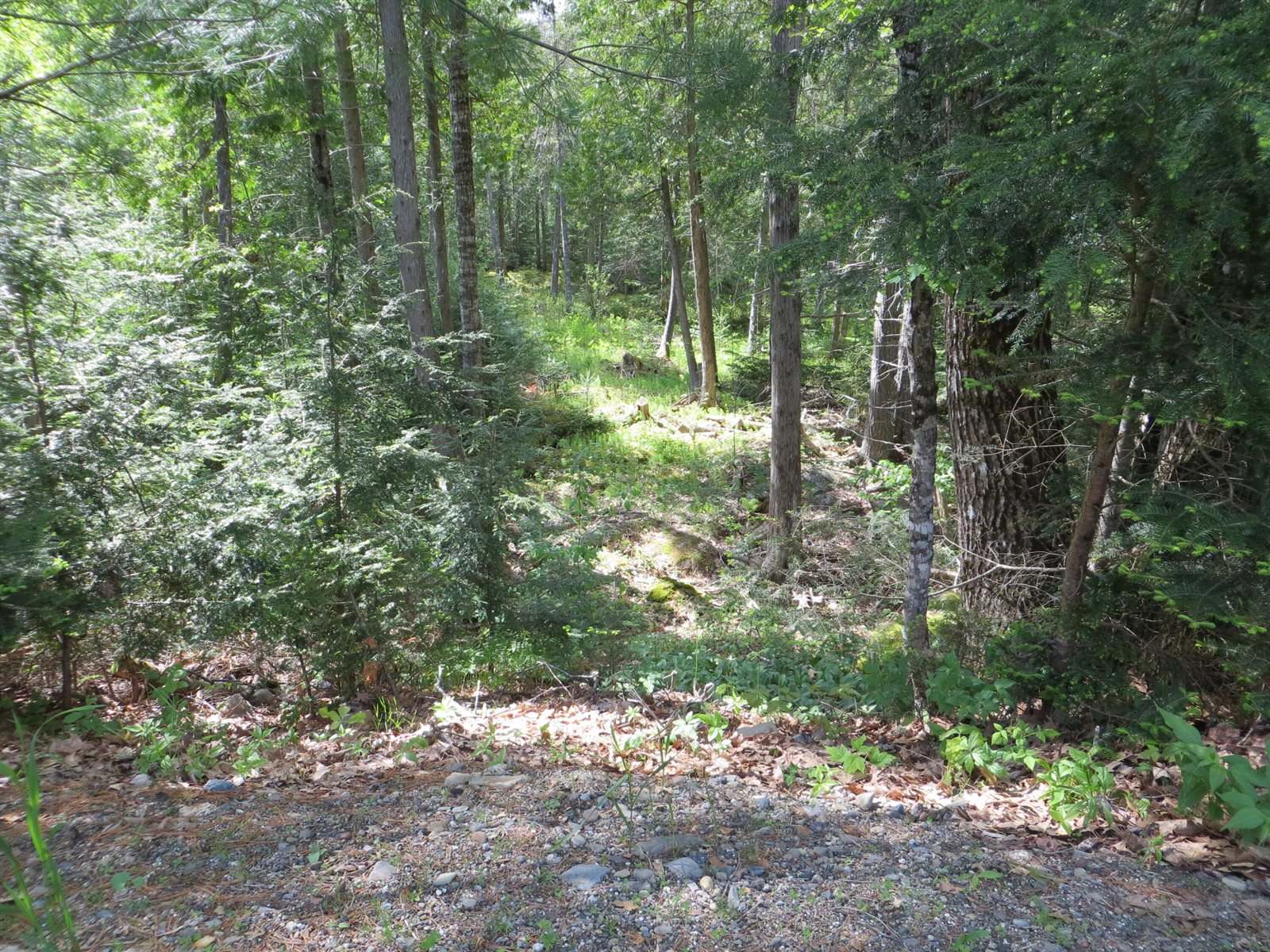 12 Tannery Loop, Amherst, ME 04605