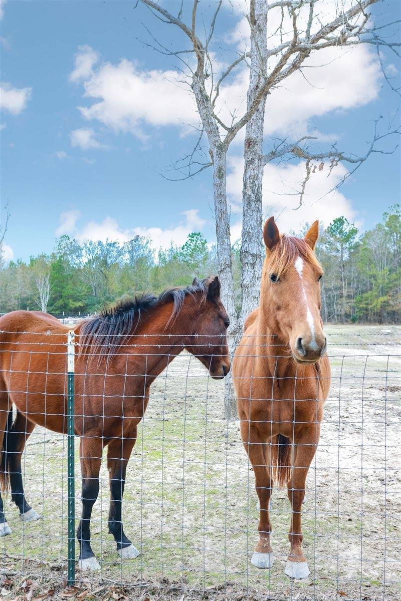 9861 FM 1442, Orange, TX 77630